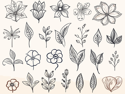 Drawing of Set of vector flower icons illustration separated, sweeping overdrawn lines.