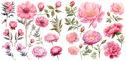 Pink floral elements  watercolor illustration clipart. Generative AI - obrazy, fototapety, plakaty