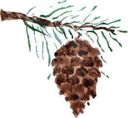 Watercolor.Pine cone on a branch. Needles. High quality vector illustration.