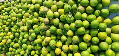 Green limes background isolated. Citrus limes and lemons, vitamin C. Sour lemons. Fresh harvest of...