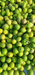 Green limes background isolated. Citrus limes and lemons, vitamin C. Sour lemons. Fresh harvest of limes. Sale of green lemons in Spain. Limes for mojitos.