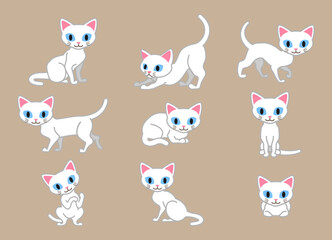 Obraz na płótnie Canvas Set of White cat in different poses