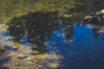 Yellowstone