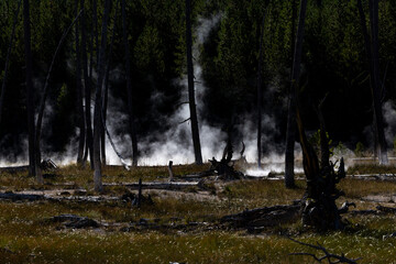 Yellowstone