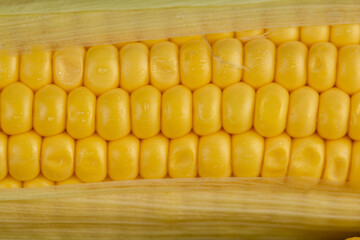 a ripe corn cob covered with water drops