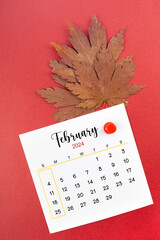 February 2024 calendar page and autumn maple leaf with thumbtack.