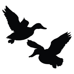 Flying Duck Silhouette on White Background