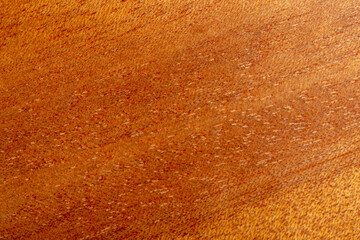 close-up of a piece of solid mahogany - obrazy, fototapety, plakaty