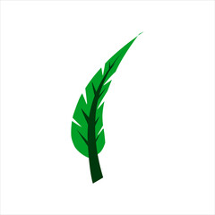 Leaf Vector Collection A variety of diverse and charming leaf vectors, High quality and visually attractive illustrations, representing various types of leaves, both printed and digital.