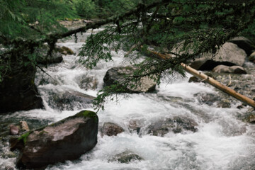 waterfall in the forest
