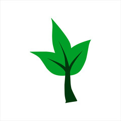 Leaf Vector Collection A variety of diverse and charming leaf vectors, High quality and visually attractive illustrations, representing various types of leaves, both printed and digital.