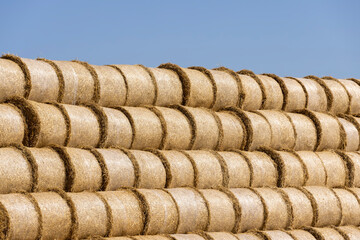 stacks of wheat straw in the field after harvest