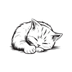 Cat image Vector, art and Illustration
