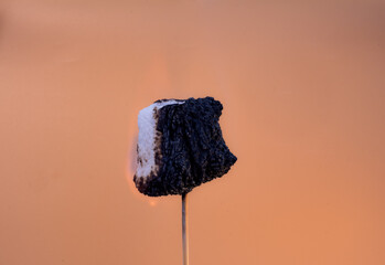 Marshmallow catching fire on a wooden stick