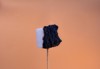 Marshmallow catching fire on a wooden stick