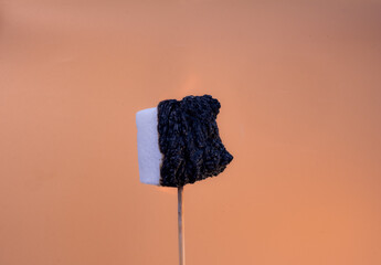 Marshmallow catching fire on a wooden stick