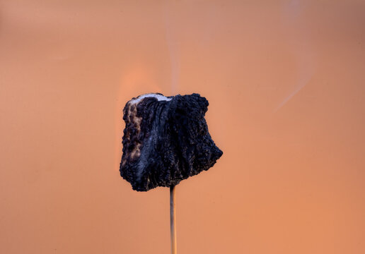 Marshmallow catching fire on a wooden stick