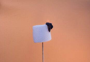 Marshmallow catching fire on a wooden stick