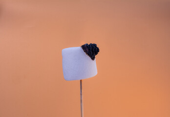 Marshmallow catching fire on a wooden stick
