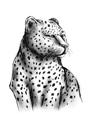 Leopard illustration in black and white