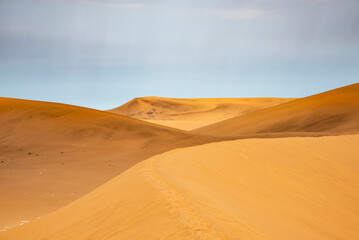 Fototapeta na wymiar Landscape of the desert of Namib
