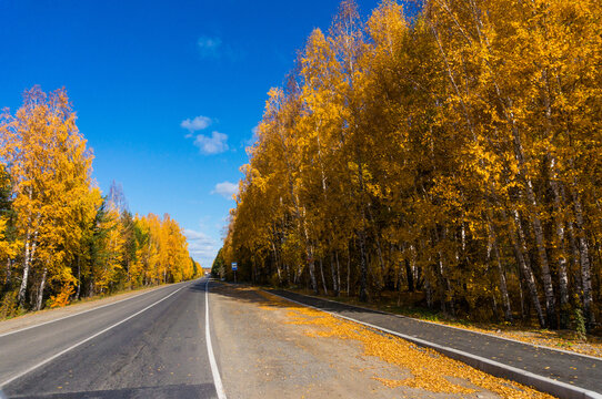 Beautiful autumn landscape: an empty roadway covered with fallen leaves. Highway on an autumn day, paved road through golden autumn trees against the sky