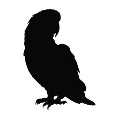 Silhouetted Parrot on White