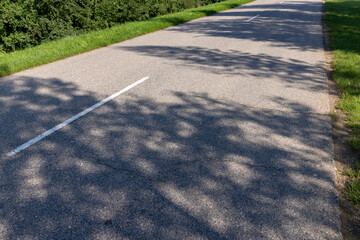 Obraz premium paved old road in the forest in summer