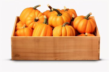 Pumpkins in a wooden crate on a white background, isolated