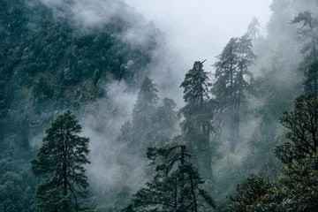 Papier Peint photo autocollant Makalu Beautiful misty morning jungles foggy rainforest jungles landscape photo in Makalu Barun National Park near Chatra Khola settlement. Mera peak climbing route, Himalayas, Nepal.