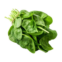 Bundle of green spinach leaves isolated on white transparent background. Created with generative AI