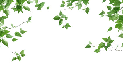 green leaves frame isolated on transparent background cutout - obrazy, fototapety, plakaty