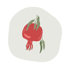 Pomegranate branch. Fruit, leaves. Packages print