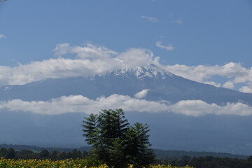 Fototapeta premium Amazing views of Mount Kilimanjaro from the trek up the Machame route