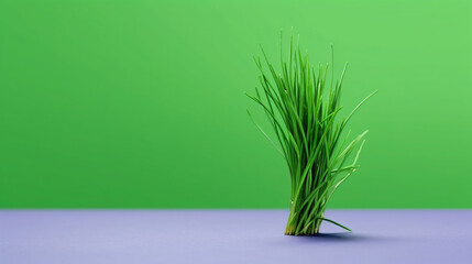 Chives with Copy Space Green Background Selective Focus