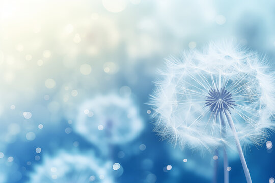 Close-up dandelion flowers in blue tone. Generative AI Image.