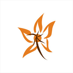 Leaf Vector Collection A variety of diverse and charming leaf vectors, High quality and visually attractive illustrations, representing various types of leaves, both printed and digital.