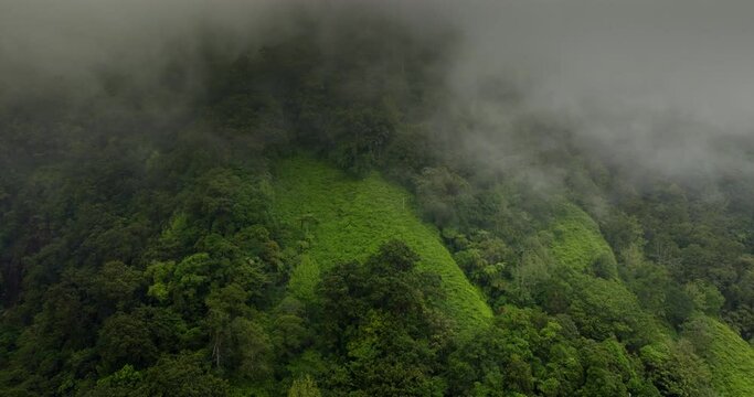 Mystic and foggy drone flight over tropical rainforest. Agung volcano slope