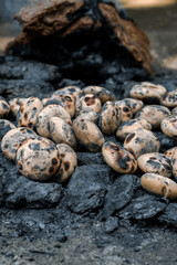 Litti Chokha baked on fire coal indian traditional food