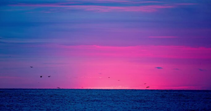 Seascape view, sunrise over sea horizon and flying seagulls over ripple water at morning video