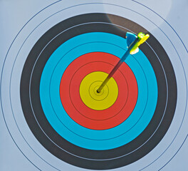 arrow shot in the center focus on target