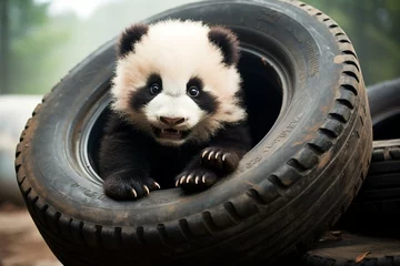 Foto op Plexiglas adorable panda having fun with car tires. Generative AI © Yara