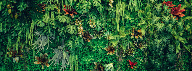 Group of background tropical green leaves texture. Natural green wallpaper and background. Green of...