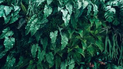 Group of background tropical green leaves texture. Natural green wallpaper and background. Green of Nature wallpaper..