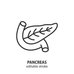 Pancreas line icon. Human internal organ. Editable stroke. Vector illustration.