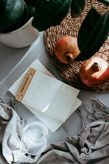 Mockup of daily planner, pomegranates, glass of water, gray blanket and a houseplant in the sunlight