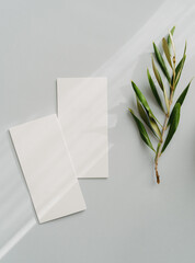 Flat lay of two blank cards sheet on aesthetic pastel grey background with olive branch on sunlight background with shadows.