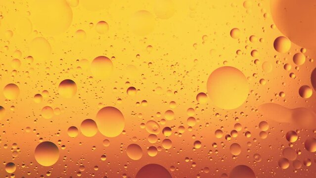 Slow Motion of Flowing Golden Oil Bubbles in Water. Abstract Colored Background. Filmed on High Speed Cinema Camera.