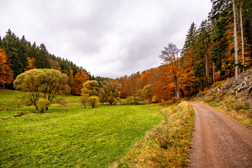 Fototapeta na wymiar Herbstliche Wanderung durch den Spittergrund bei Tambach-Dietharz zum Wasserfall - Thüringer Wald - Thüringen - Deutschland