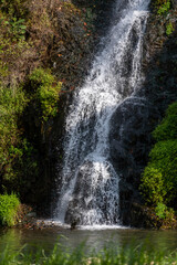 Close-up of waterfall with autumn foliage
